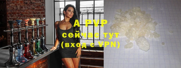 сатива Пролетарск