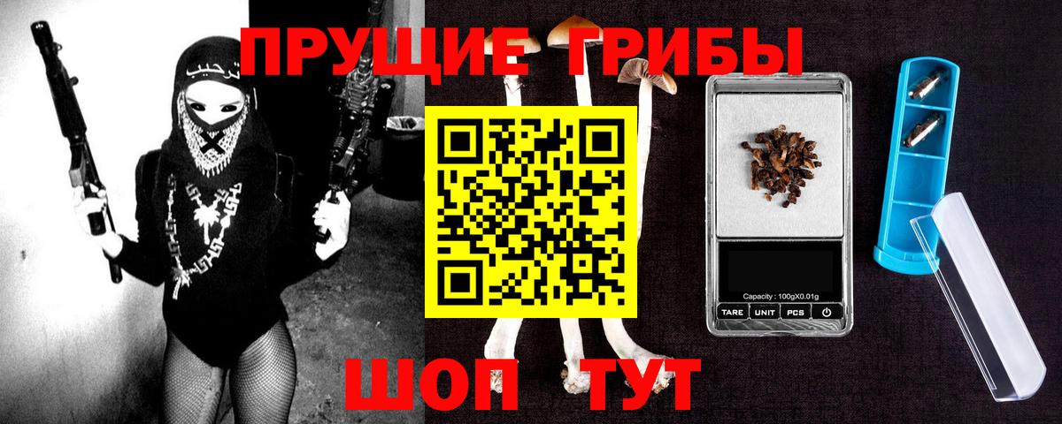 Галлюциногенные грибы Psilocybe  Вход с VPN  Свободный 