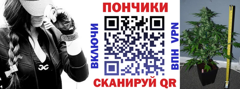 Шишки марихуана сатива OMG Свободный продажа наркотиков